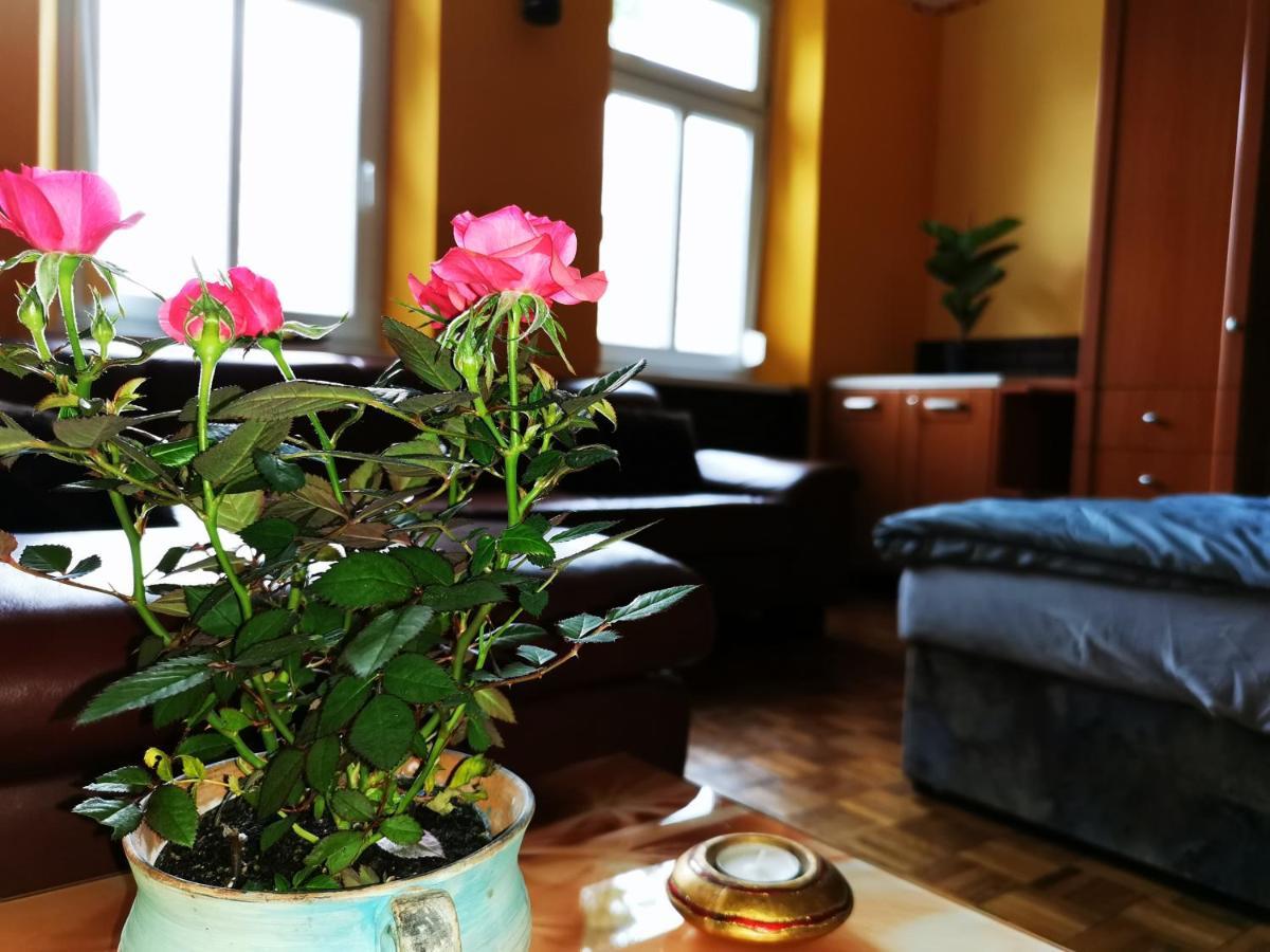 Lehel Apartman Кестхей Экстерьер фото